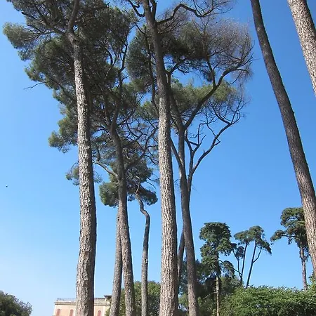 Casa Del Glicine * Rome