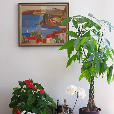 Casa Del Glicine *