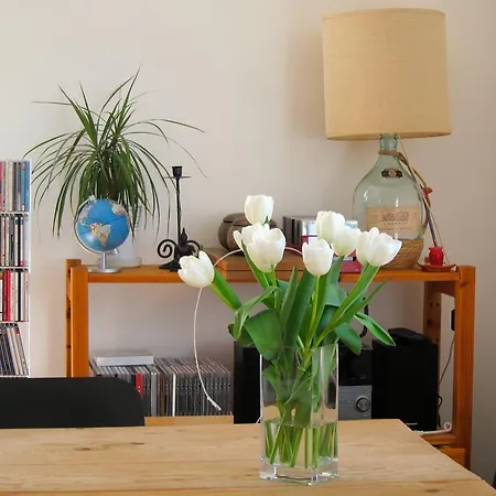 Apartment Casa Del Glicine Rome