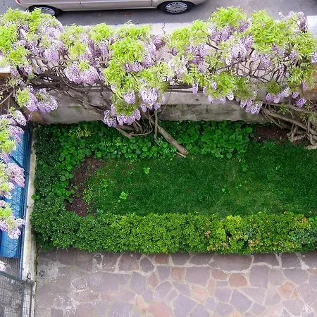 Διαμέρισμα Casa Del Glicine